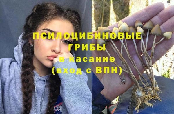 экстази Белокуриха